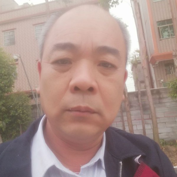 东莞龙的照片