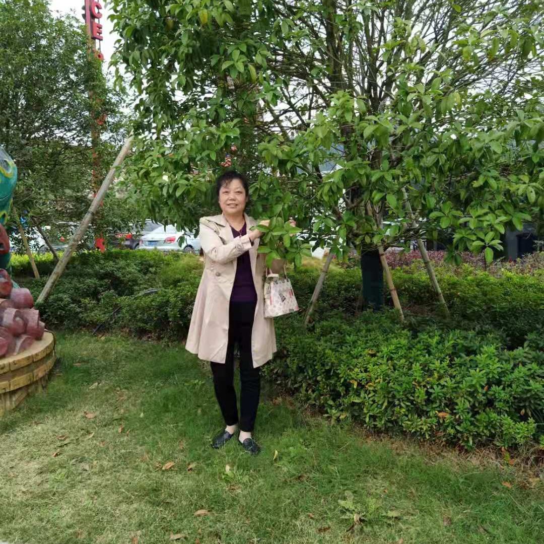 会员129250541的照片