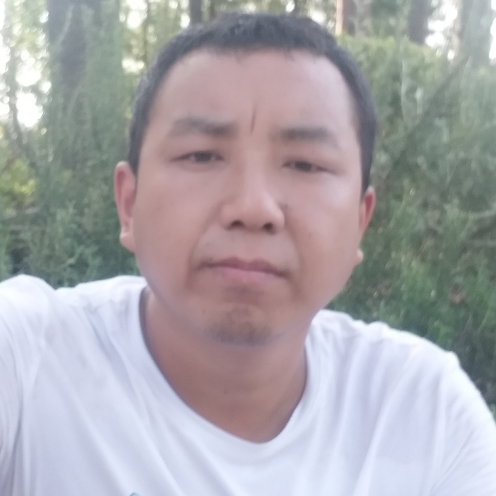 活泼回首铃铛的照片