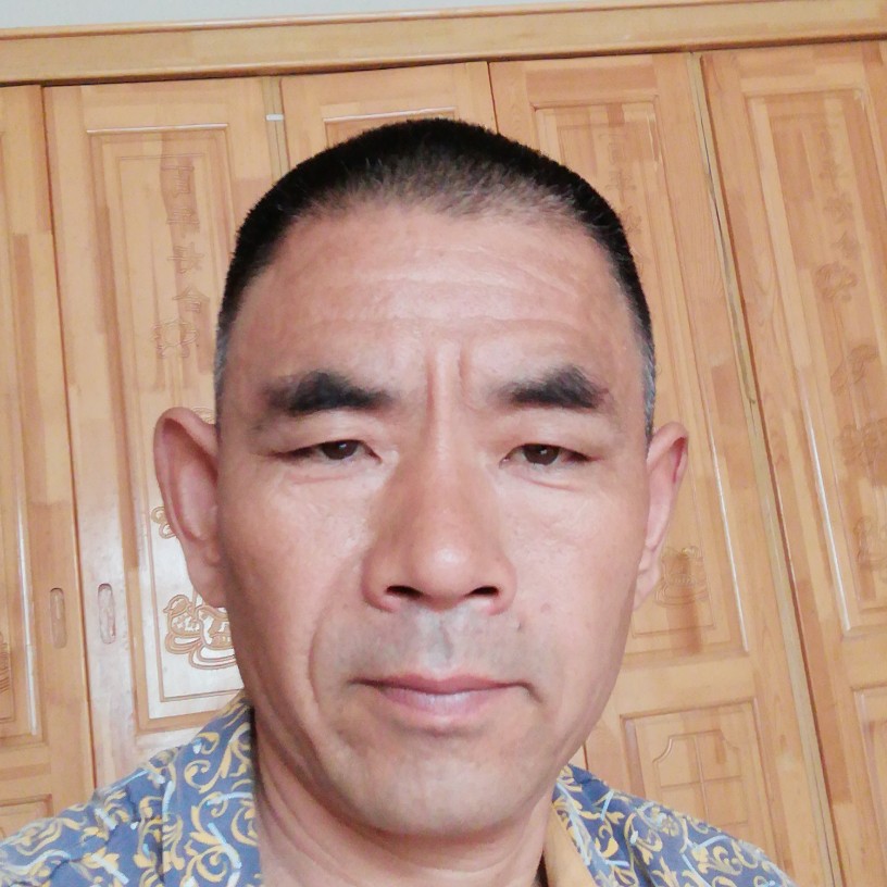 鸭子停止不安的照片