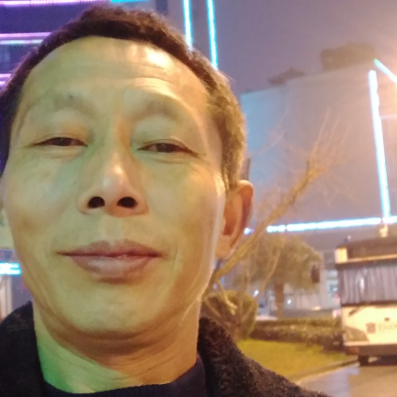 单身等于大树的照片