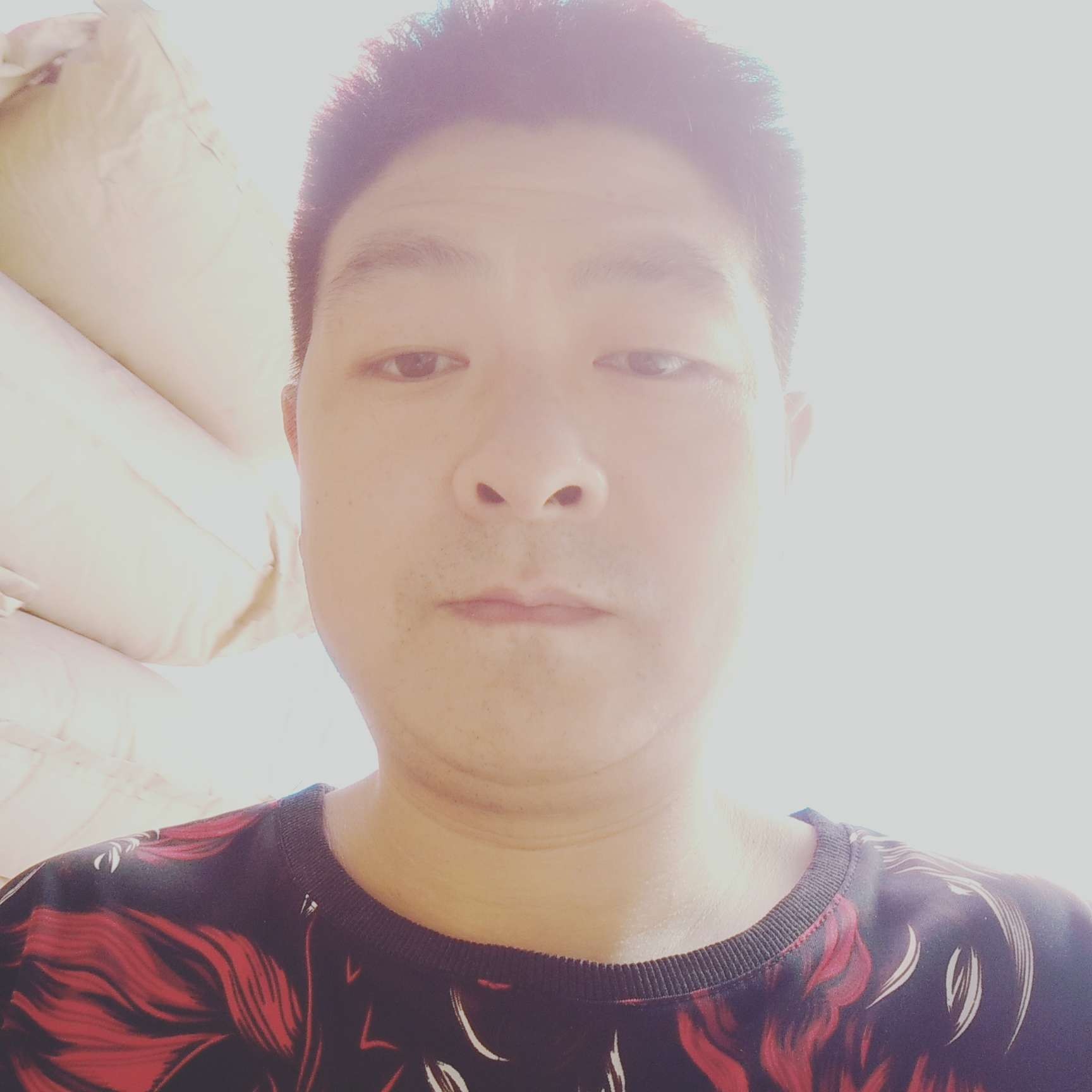 如意倾心宝马的照片