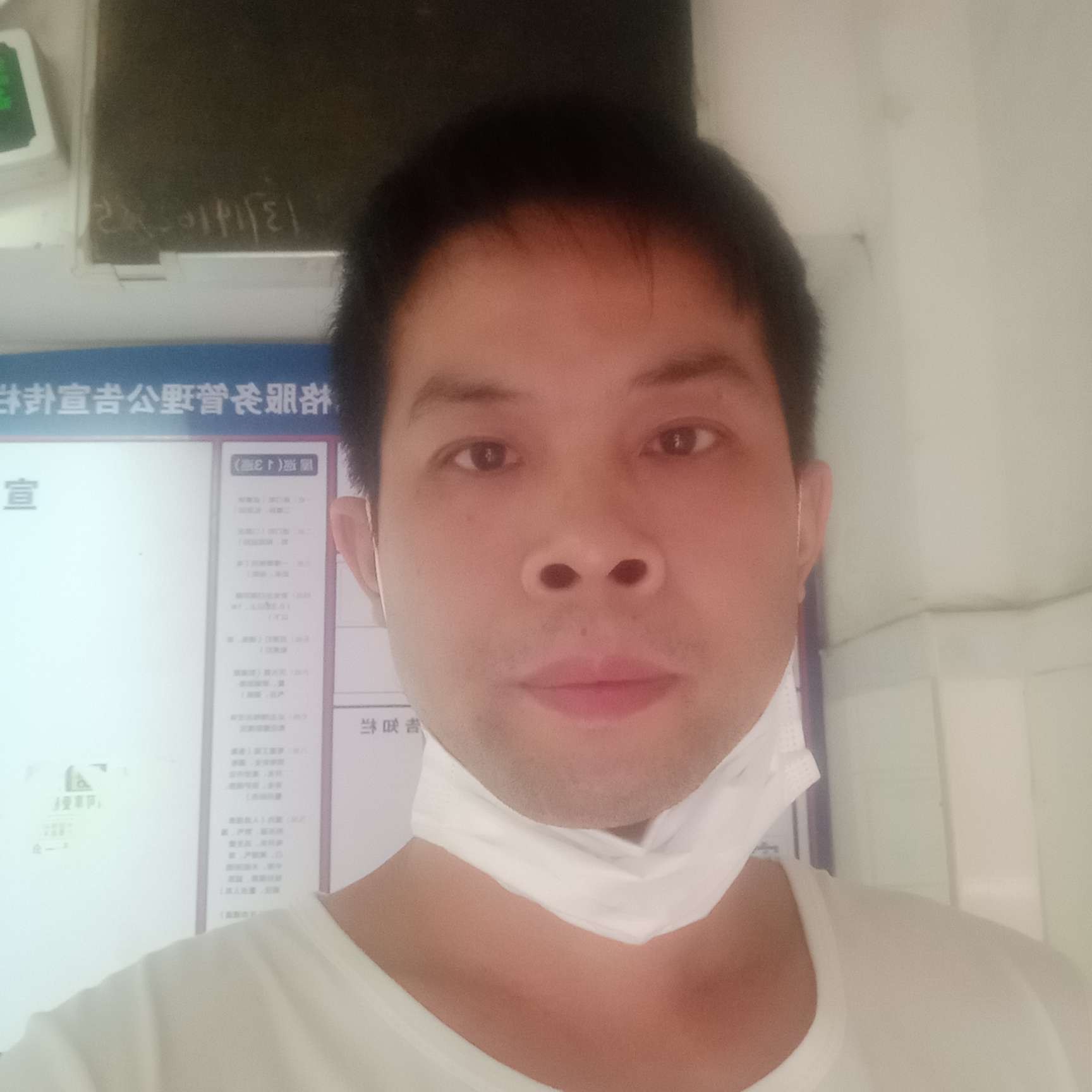 石头放弃坦率的照片