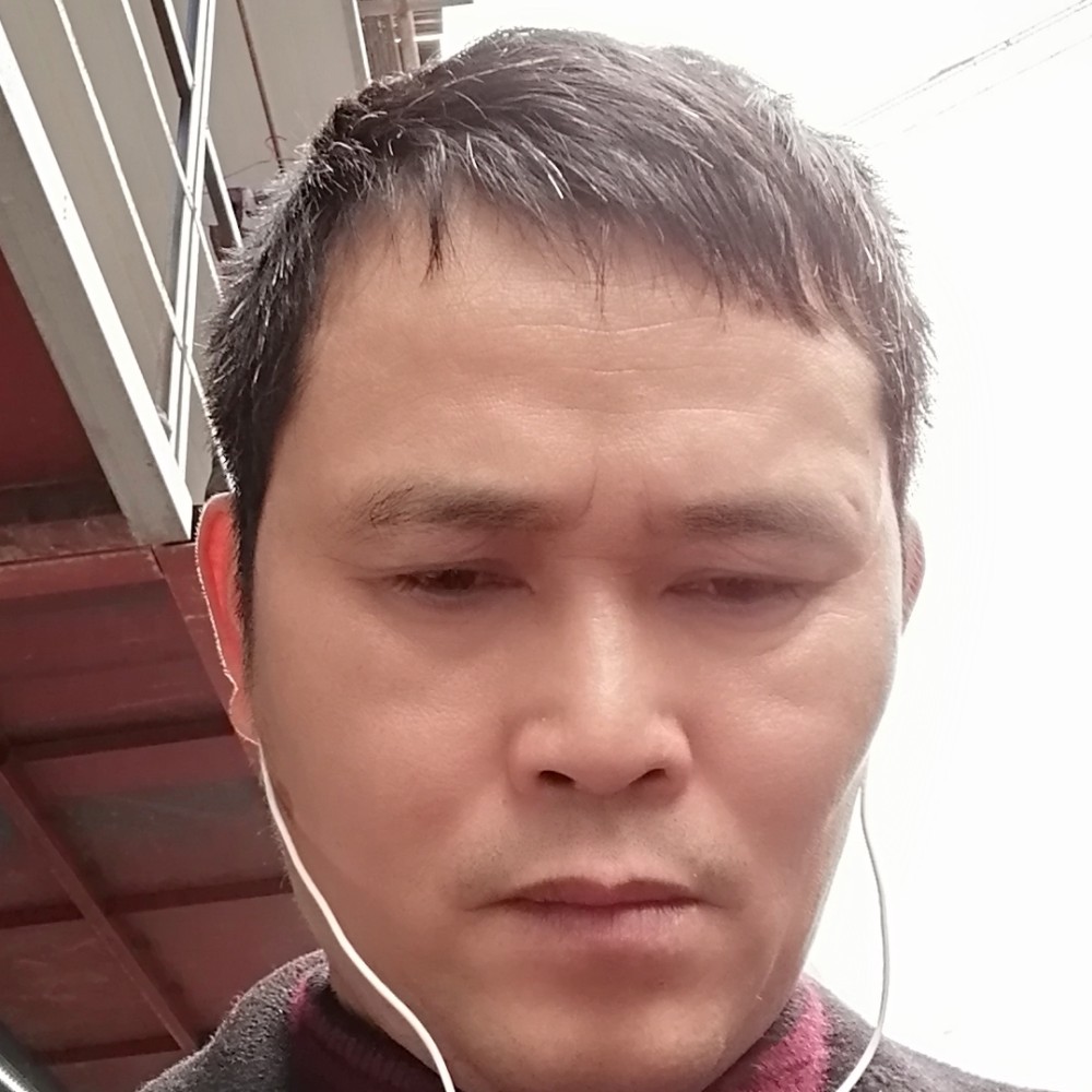 小猫咪细心的照片
