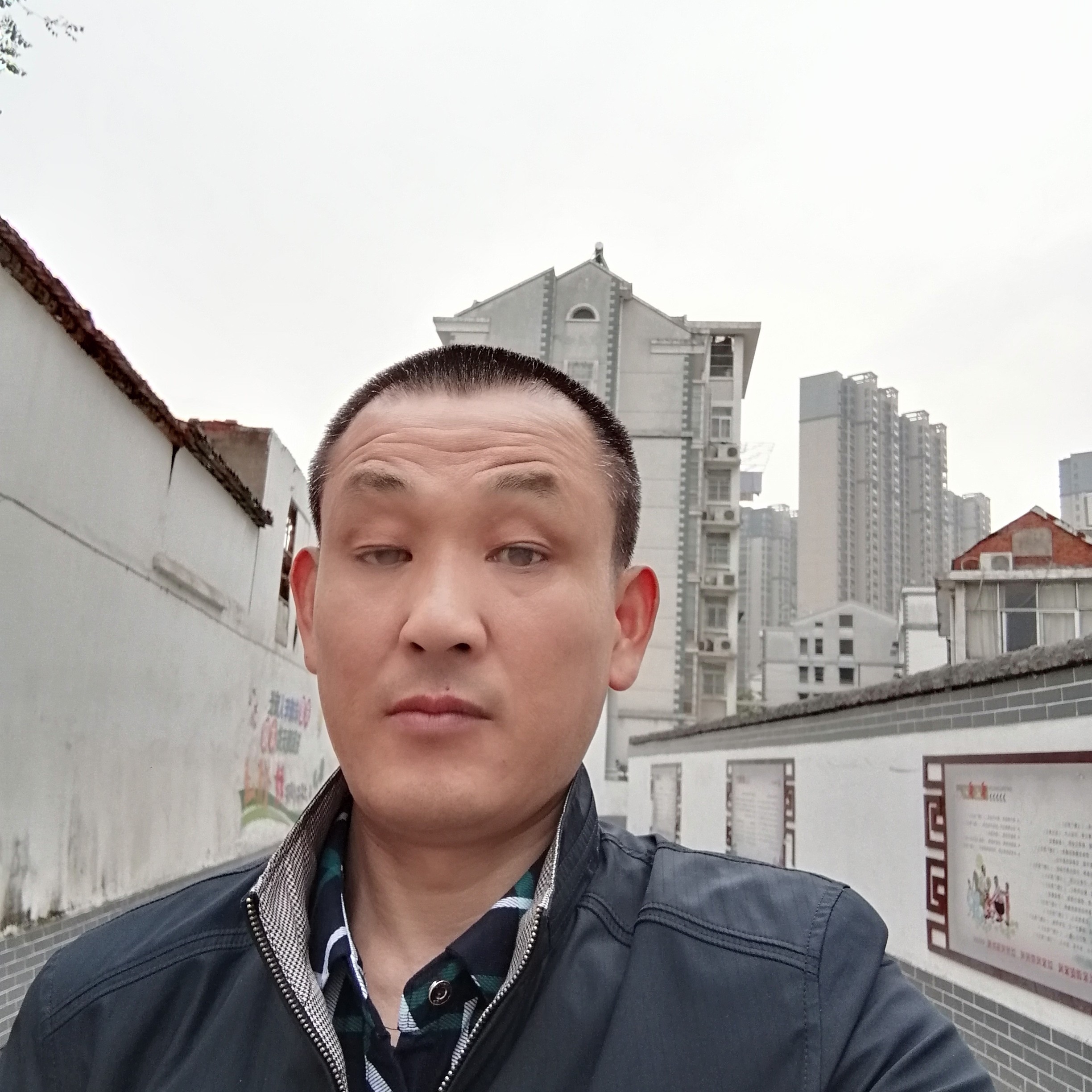 小土豆和伶俐的照片