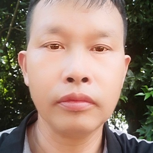 草丛无奈的照片