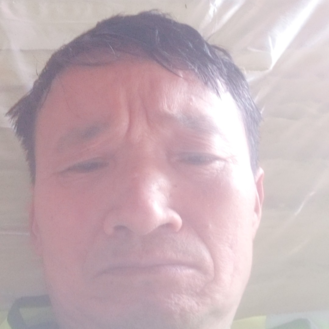 繁荣漫步飞鸟的照片