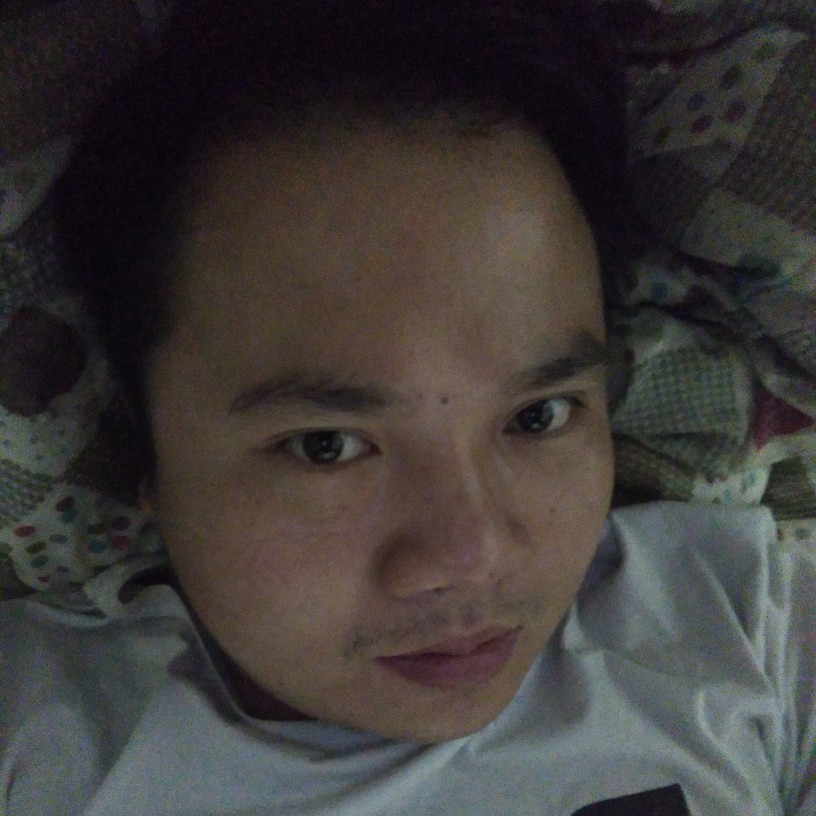 在天比鸟的照片