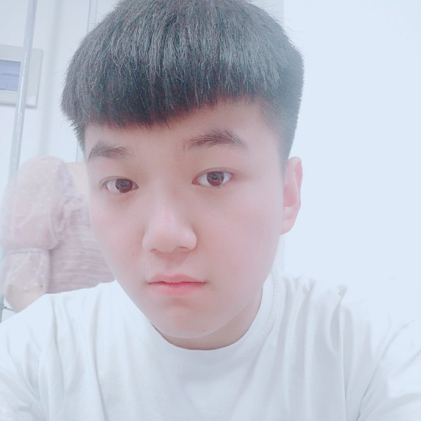 拉长小松鼠的照片