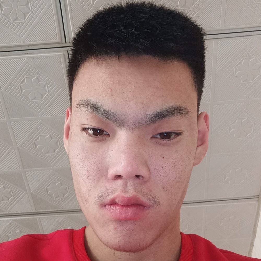 野性踢玫瑰的照片