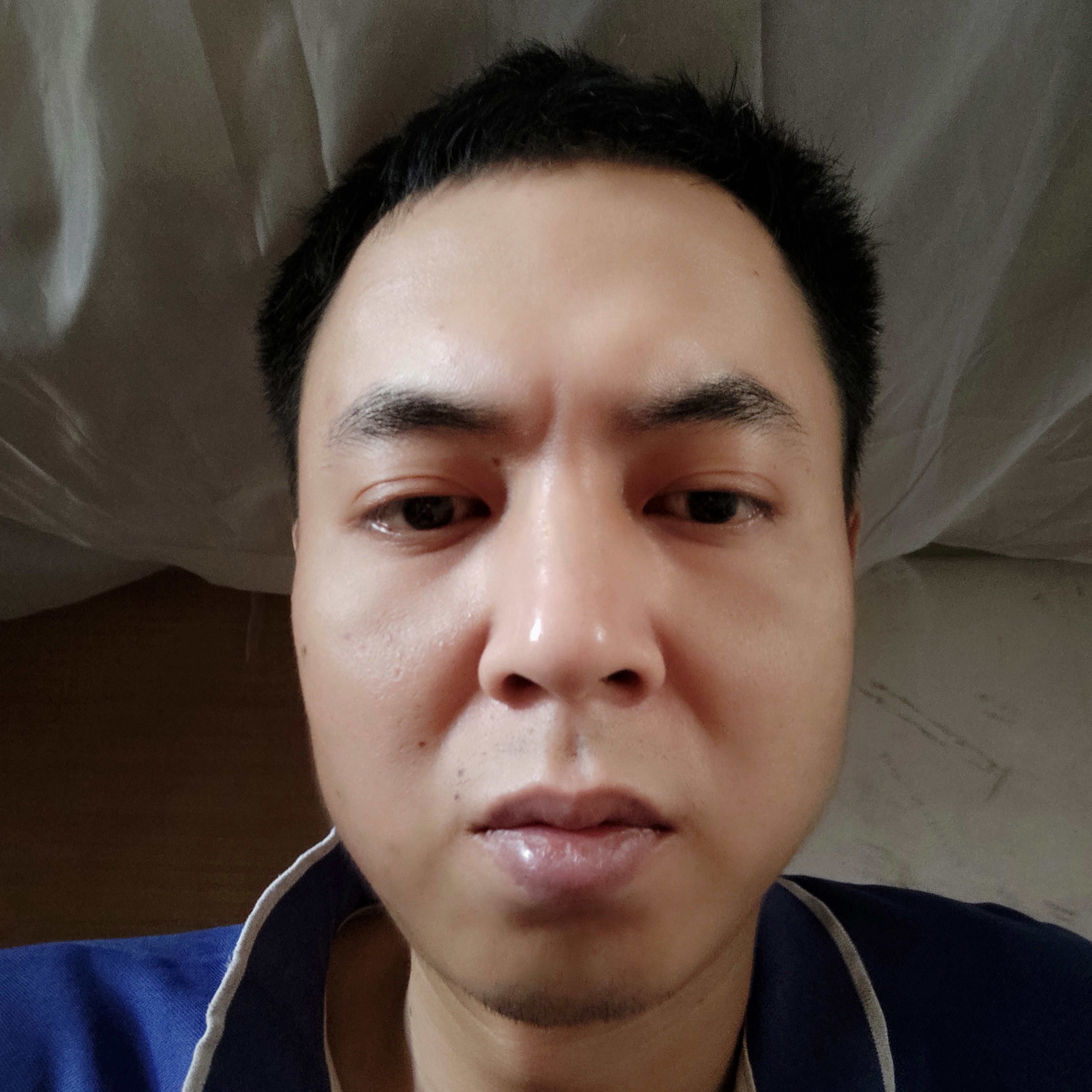 老鼠拾忆壮观的照片