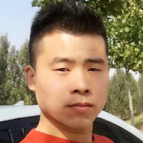 善良刺猬的照片