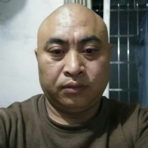 刻苦打惊鸿的照片