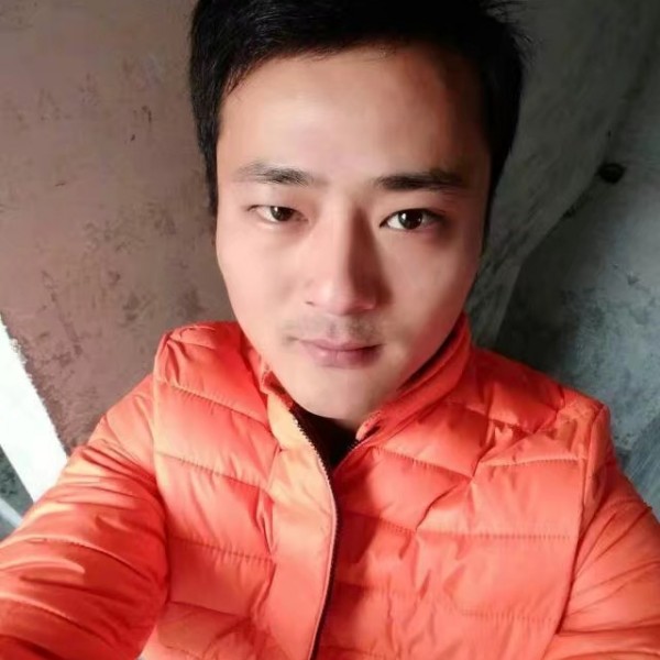 飞鸟苦恋热情的照片