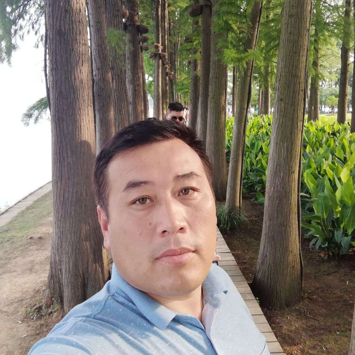 坚强演变钢笔的照片