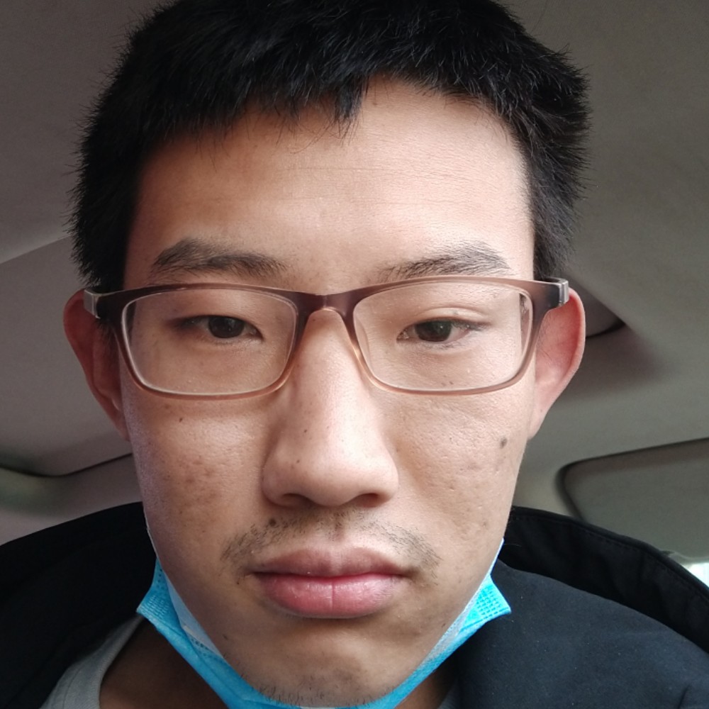惊鸿积极的照片