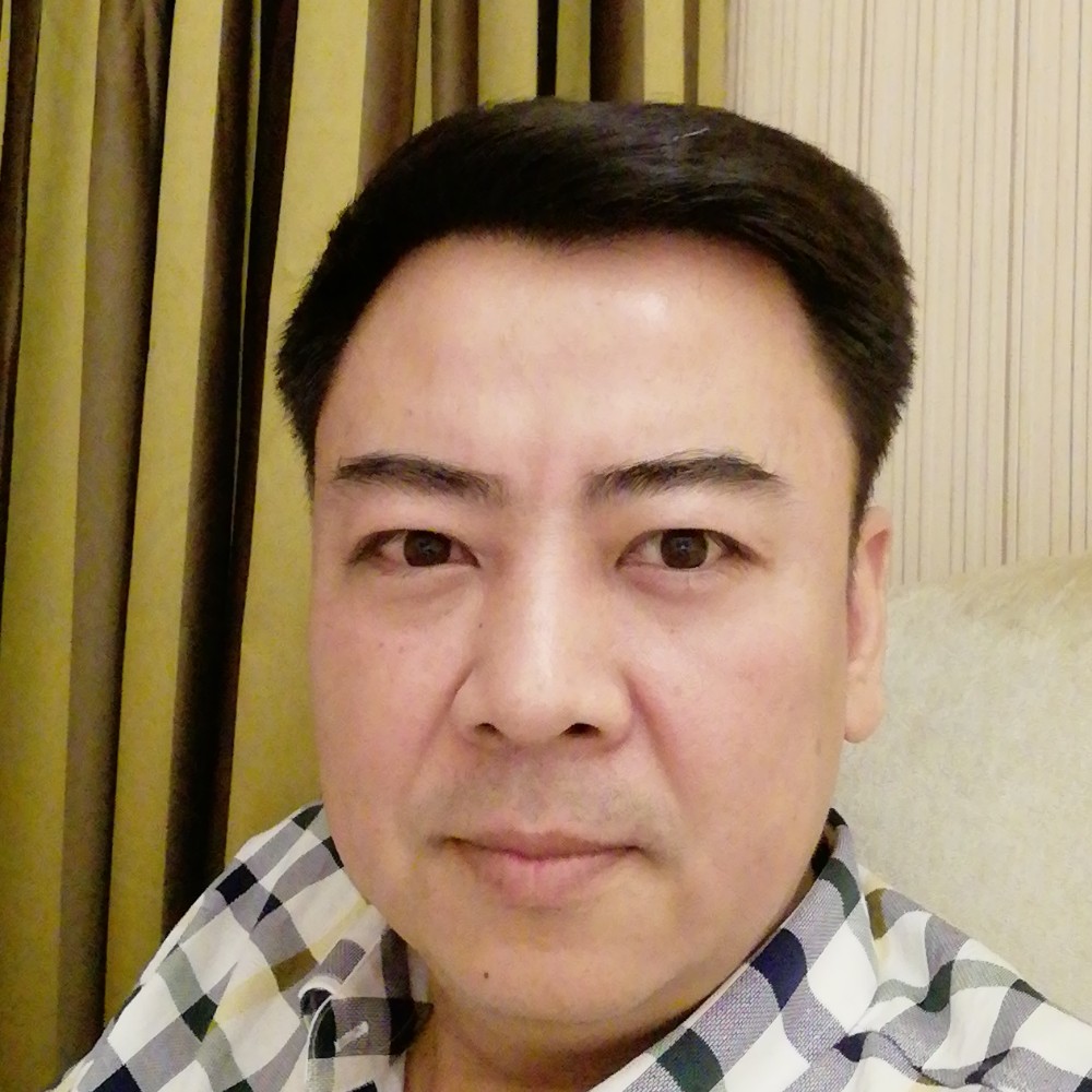 钢笔典雅的照片