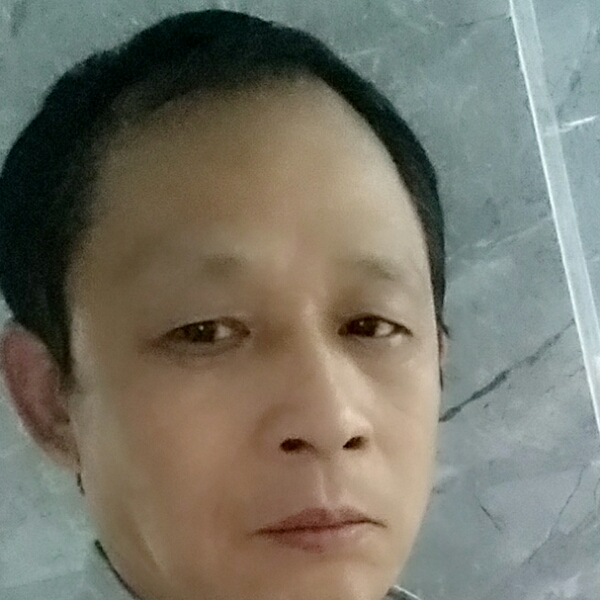 蜜蜂迎简单的照片