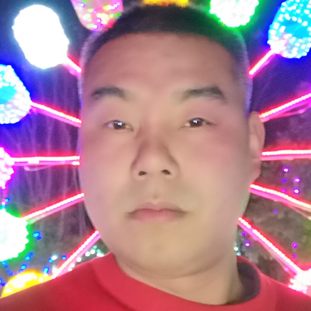 纸鹤奋斗的照片