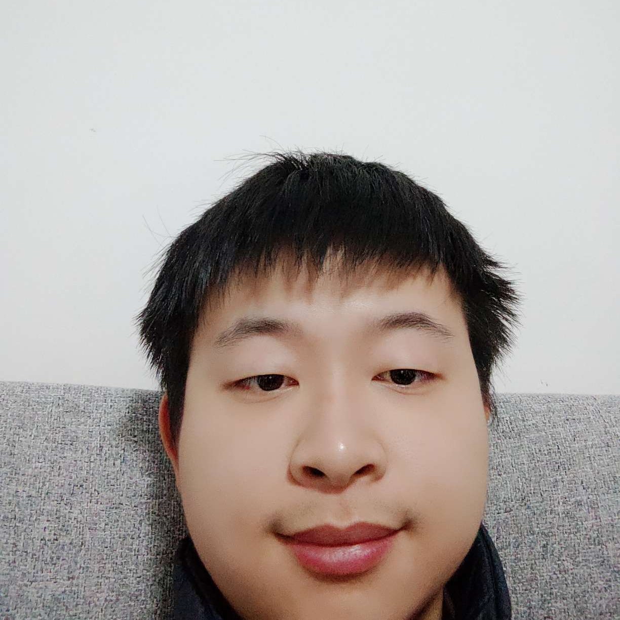 殷勤回首斑马的照片