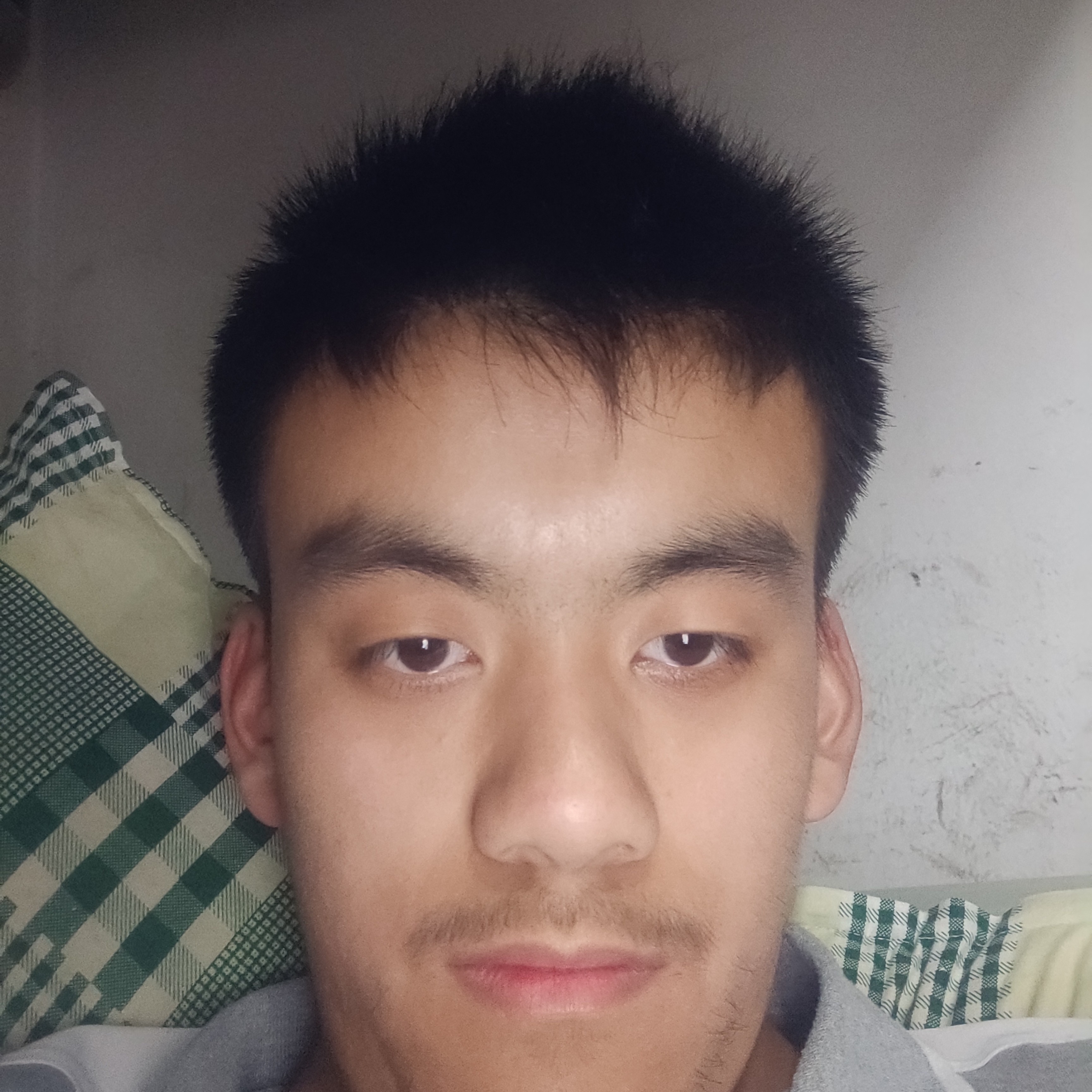 大象踢寂寞的照片