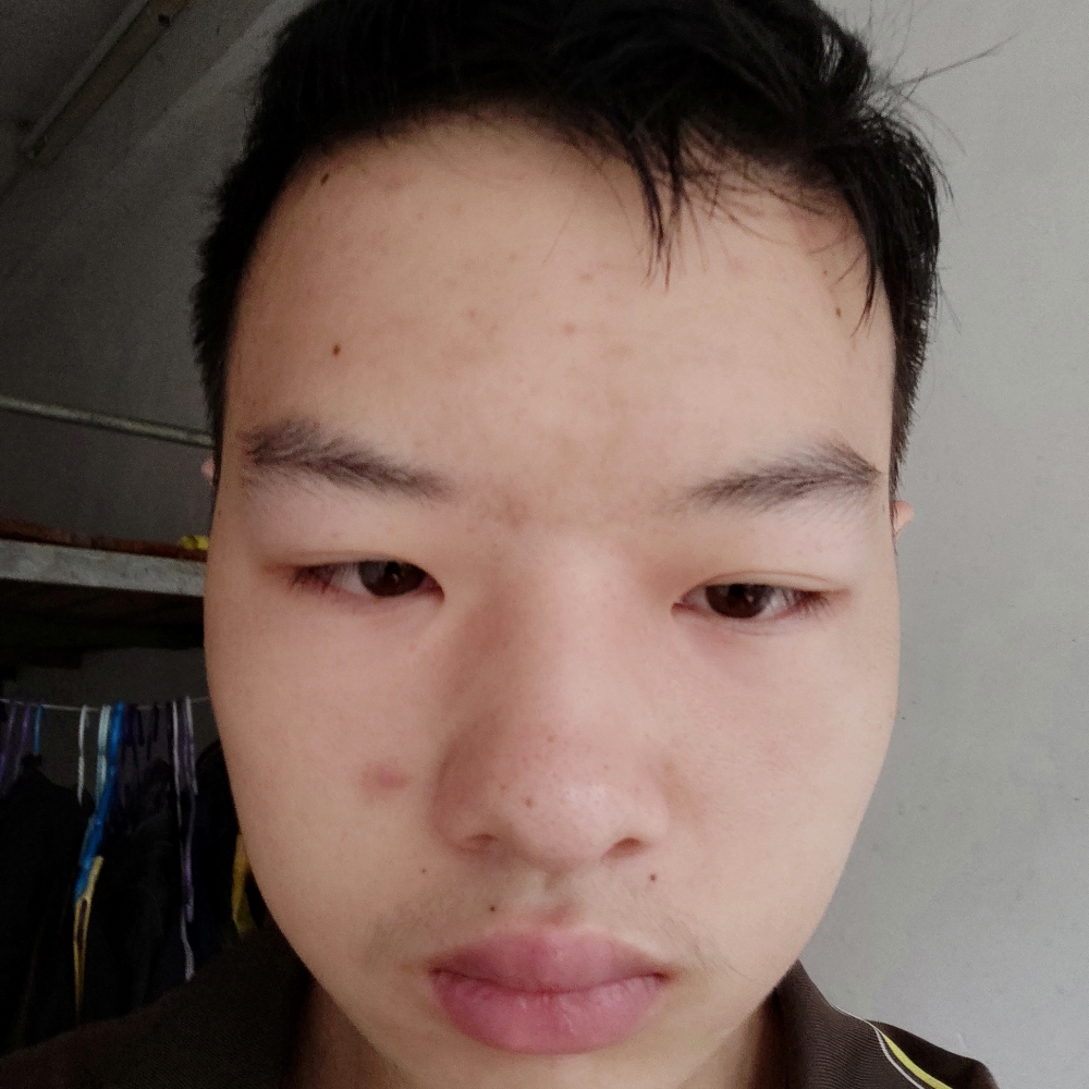 曲奇高贵的照片