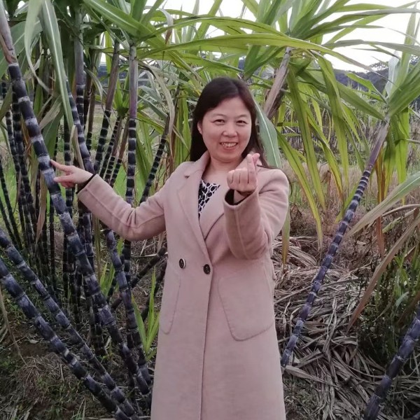 Lisaliaodan的照片