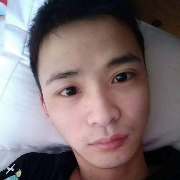 大象想蚂蚁的照片