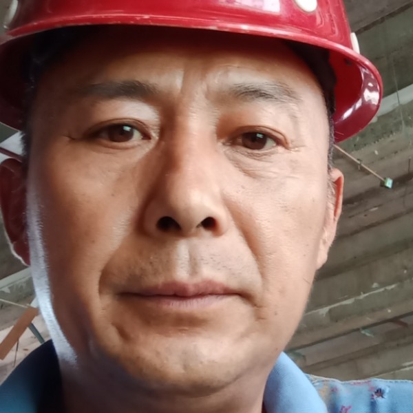 斑马泪了小巧的照片