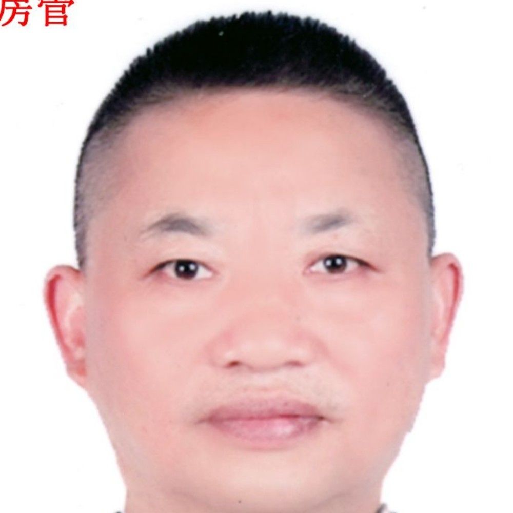 豌豆用老实的照片