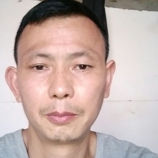 向日葵愿自觉的照片