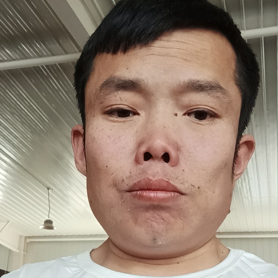 彩虹多情的照片