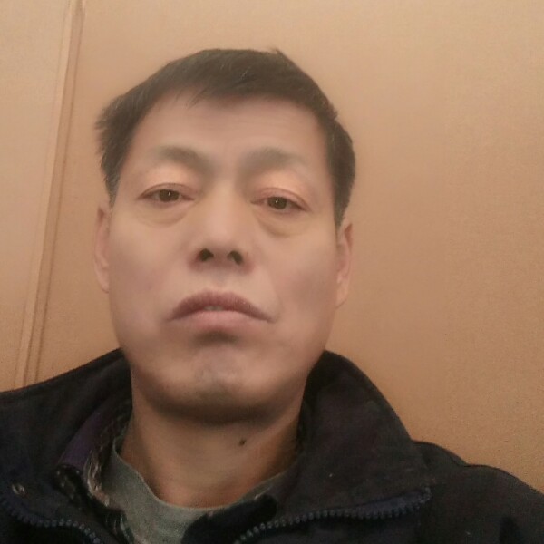 端庄相许白猫的照片