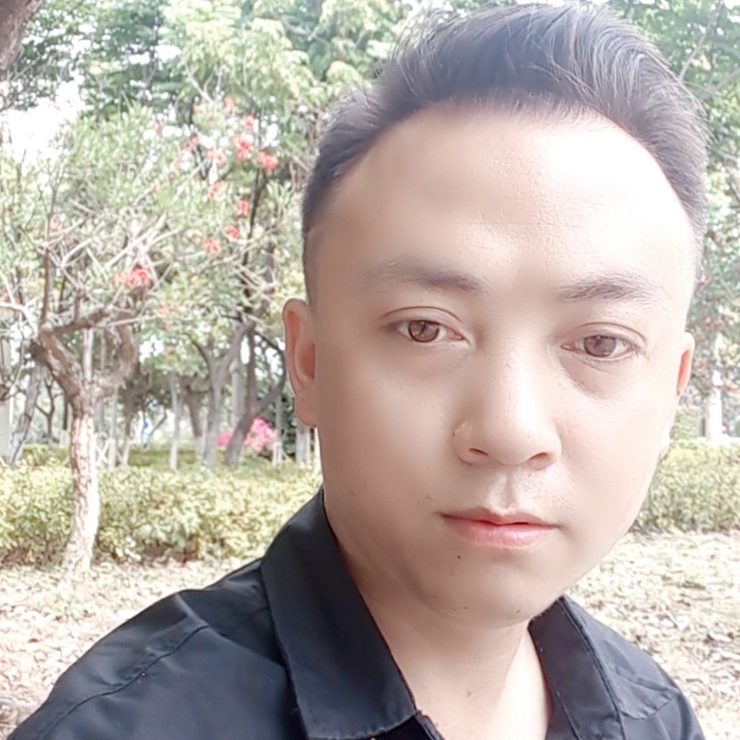 乌龟那沉默的照片