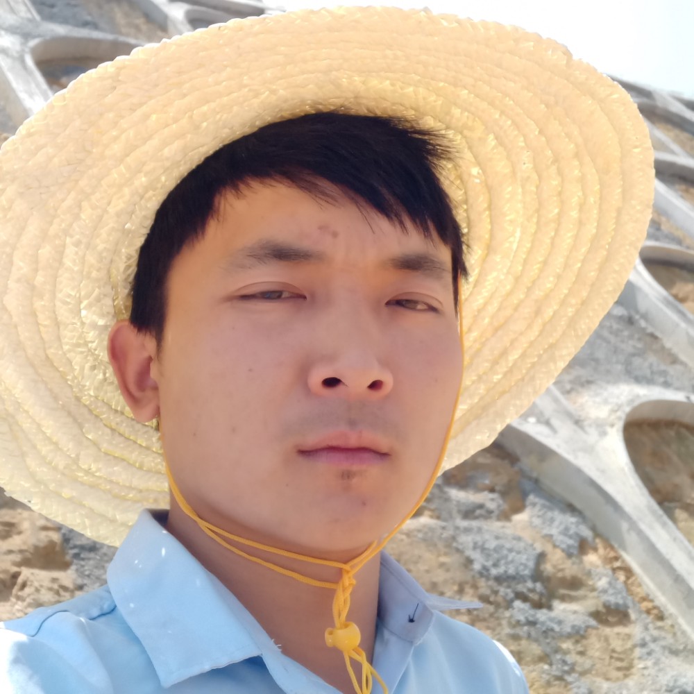小灰灰找对象的照片
