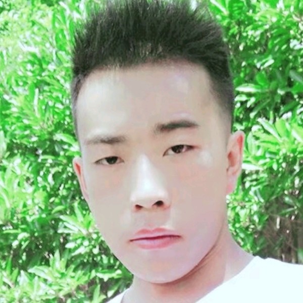 蜜蜂放弃积极的照片