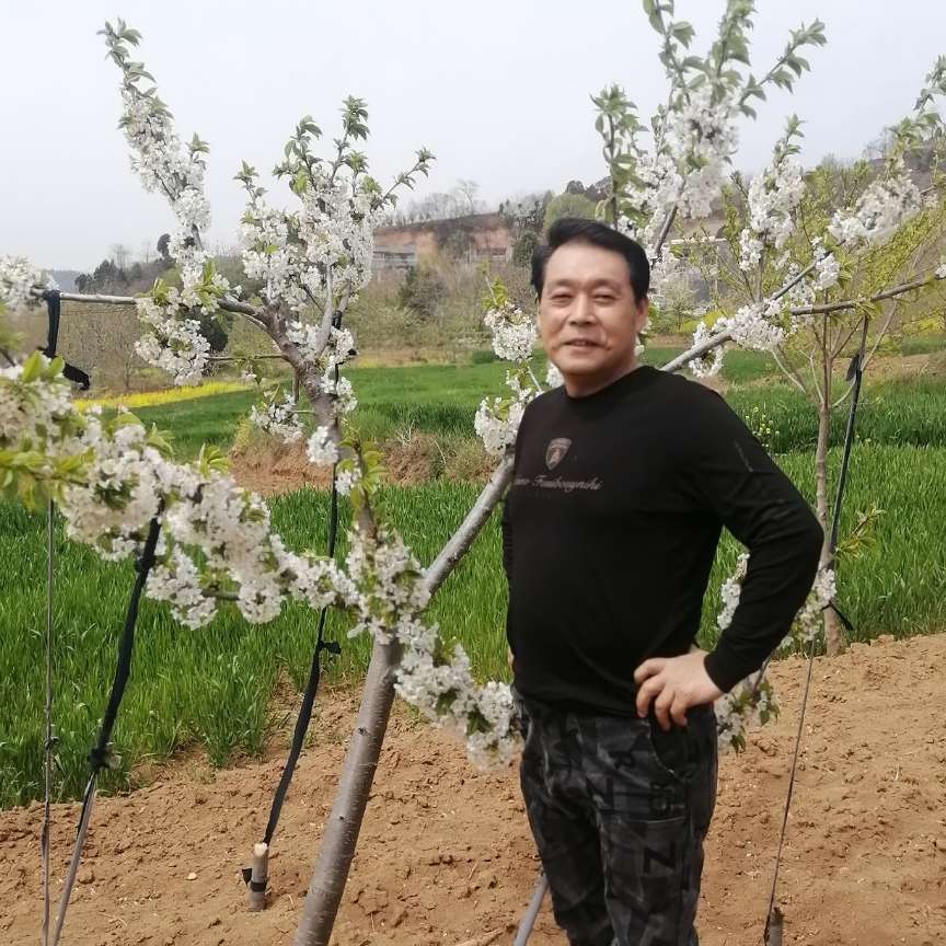 板凳扯潇洒的照片