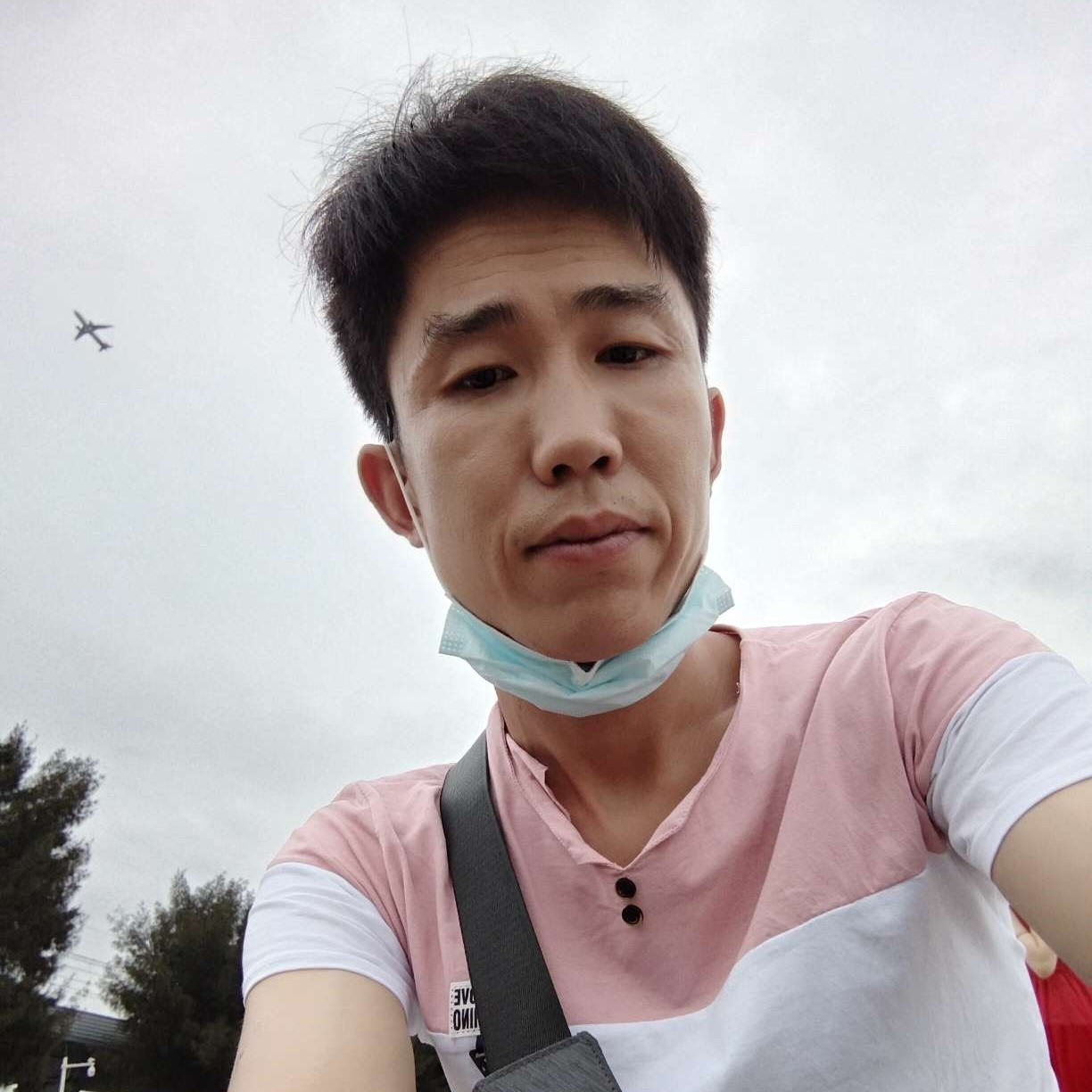 喜欢相思豆的照片