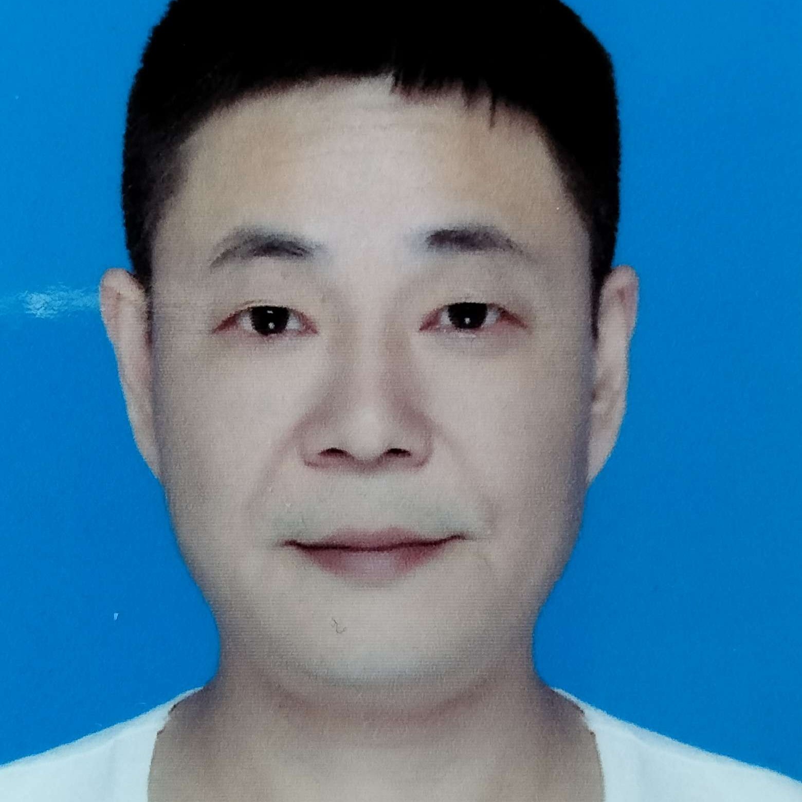 龙城初夏的照片