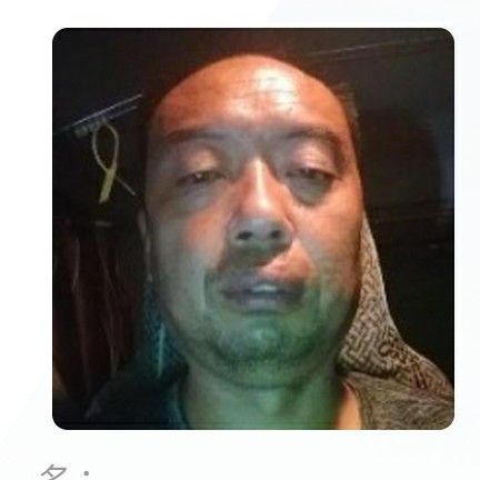 自由飞翔。1的照片