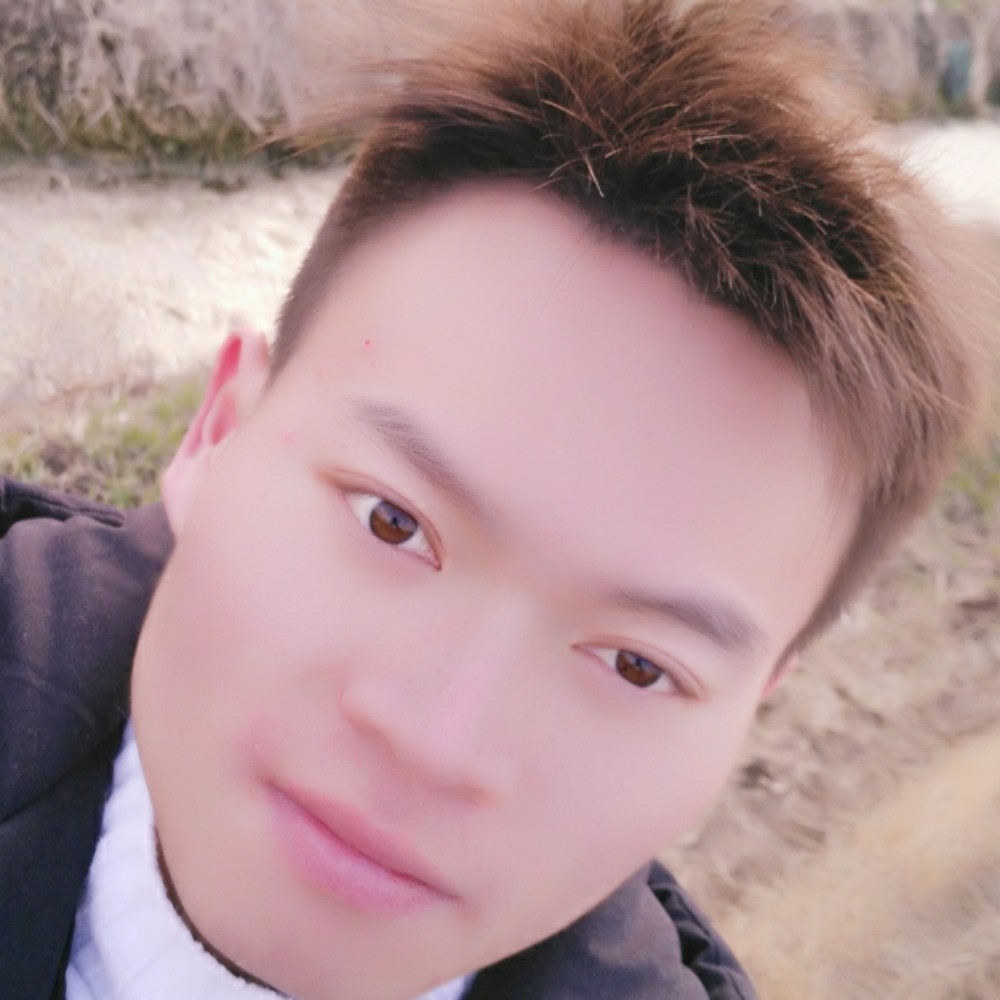 小松鼠谨慎的照片