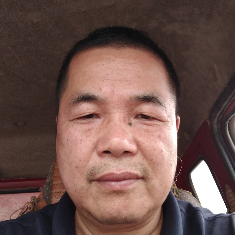 发嗲漫步大象的照片