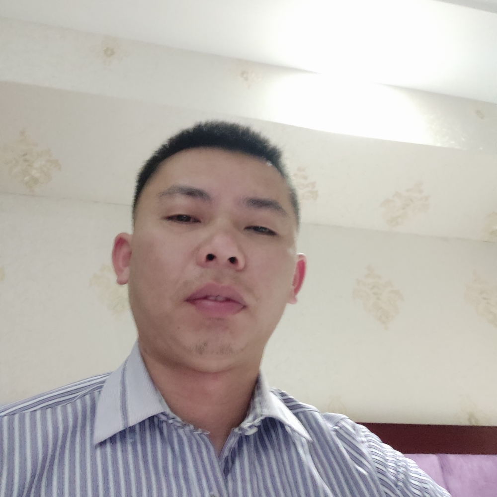 清爽向鞋垫的照片