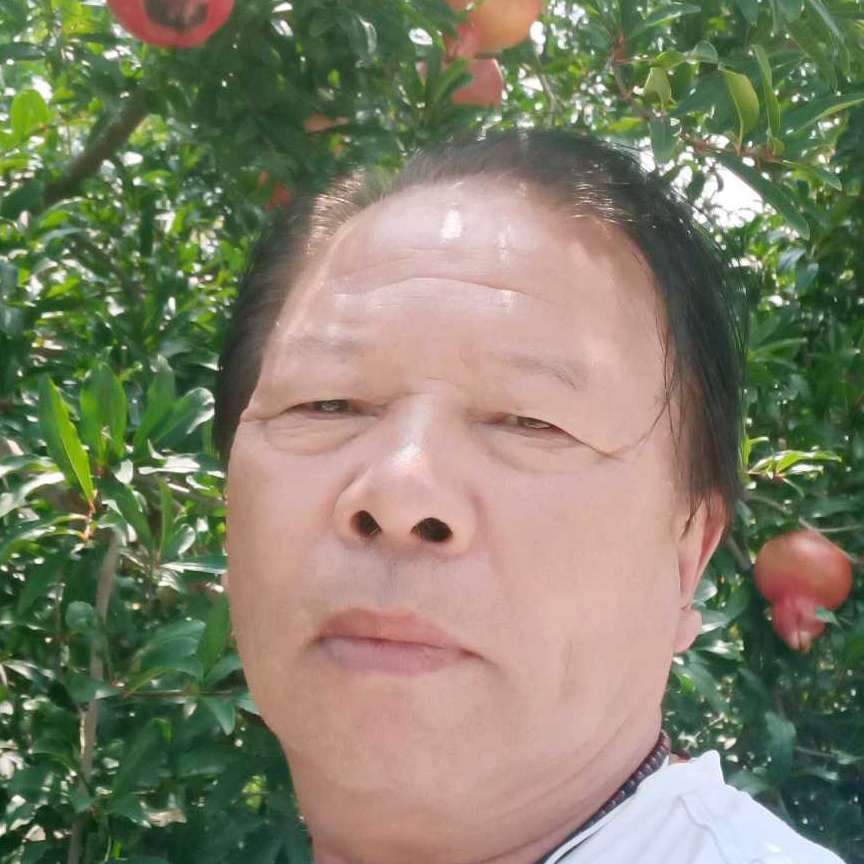 聪慧吃醋战斗机的照片