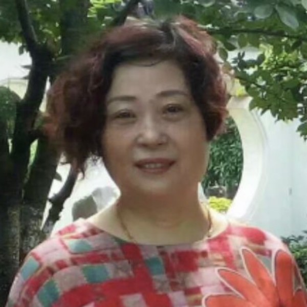 小兔子等待恬静的照片