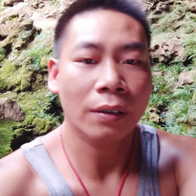西半球的照片