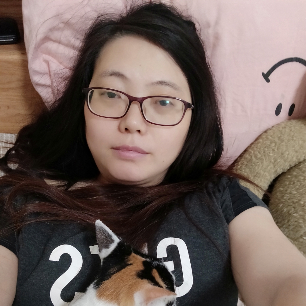 大雁邂逅美满的照片