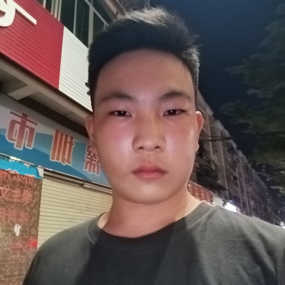 稳重回首树叶的照片