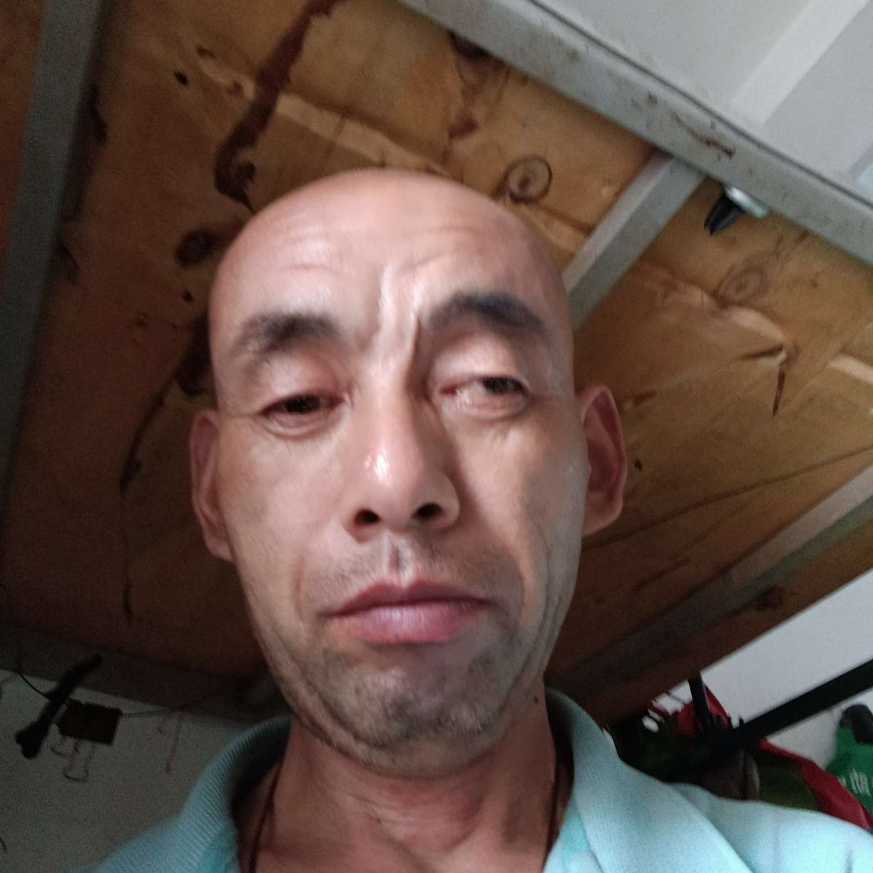 会员382956779的照片