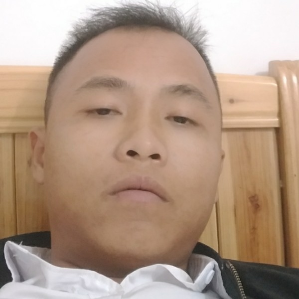 羞涩爱恋鼠标的照片